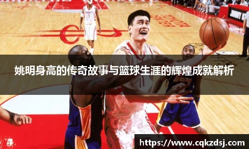 Bsports官网