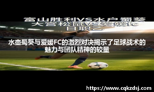 Bsports官网